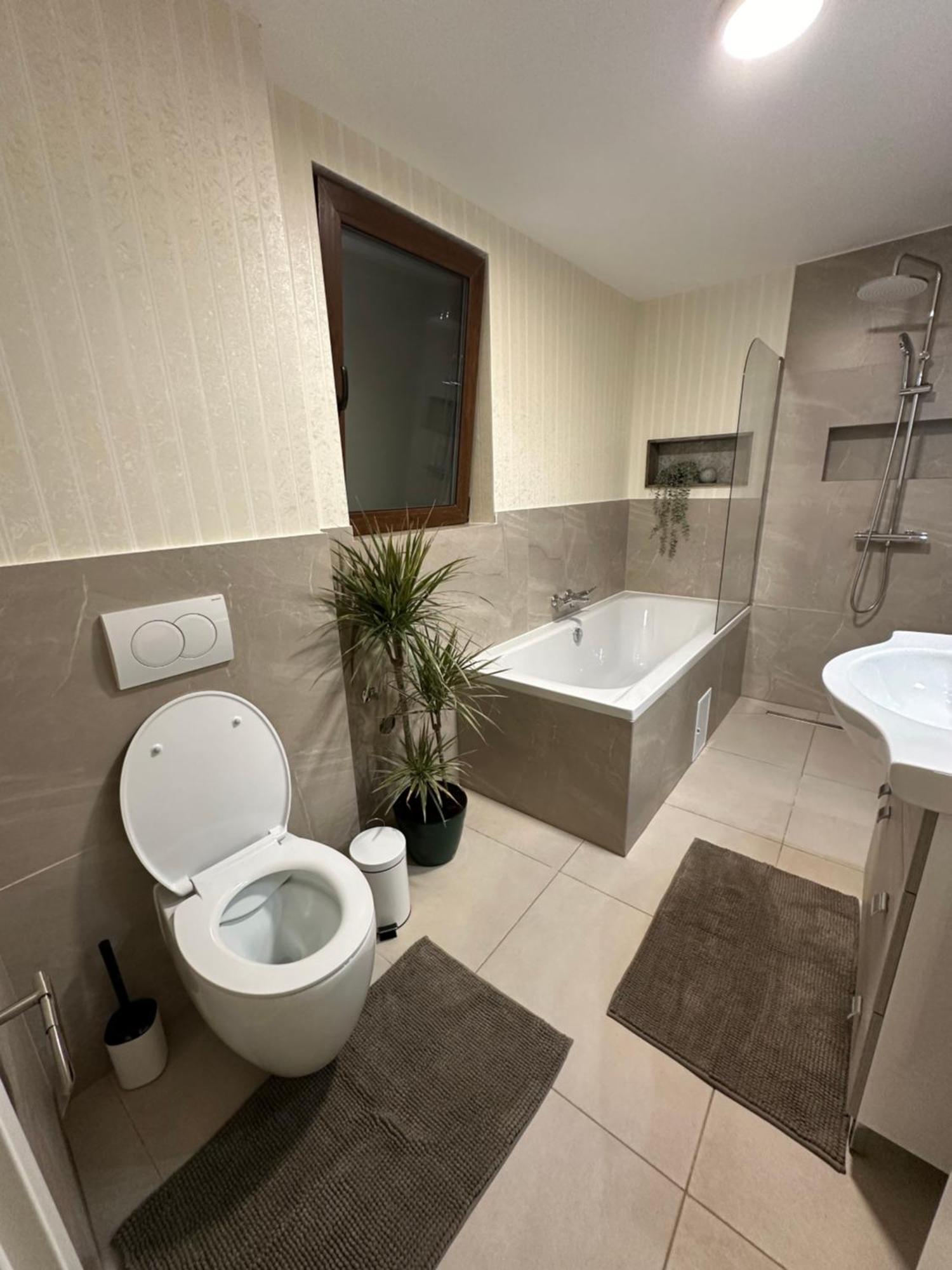 Appartement Schei House à Braşov Extérieur photo