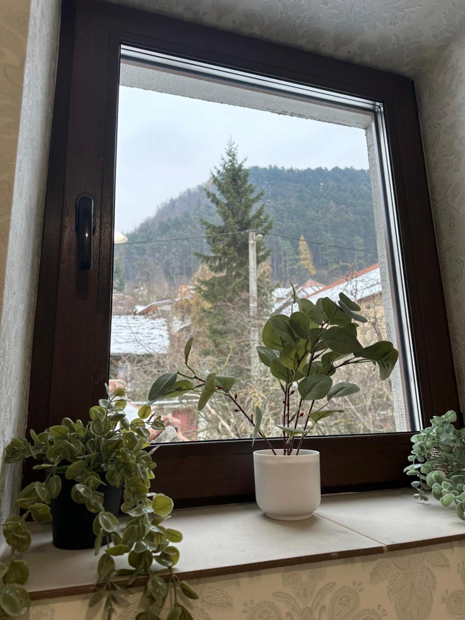 Appartement Schei House à Braşov Extérieur photo